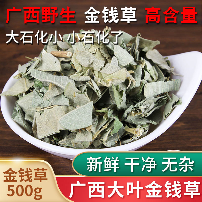 Guangxi wild large leaf gold money grass 500g grams of Chinese herbal medicine fresh gold Qian hay dried fossil kidney-infused water soluble stone grass