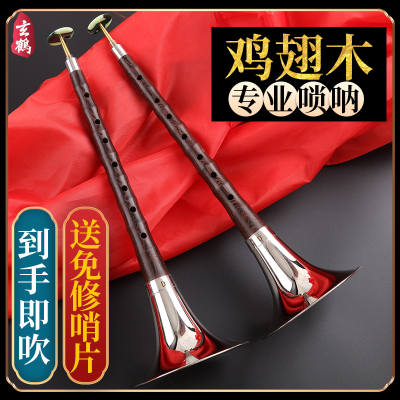 Full set of beginner-to-start D-tone pro performance grade red and white hibiscus vintage horn size Sola
