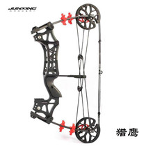 Precision Eagle M109E steel ball bow dual-purpose vehicle Junxing dual-purpose bow and arrow non-Raptor night blade compound