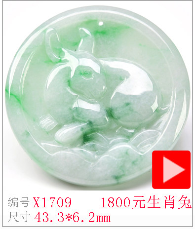 X1709.jpg