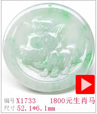 X1733.jpg