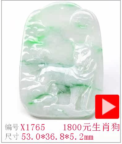 X1765.jpg