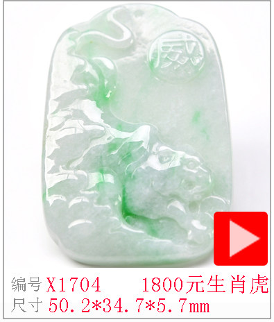 X1704.jpg