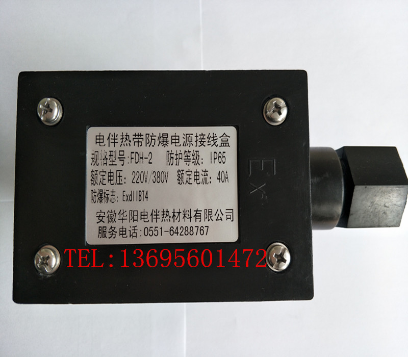 Explosion-proof power junction box FDH-2 Companion Tropical Junction Box Electric Companion Heat Junction Junction hot cable junction box