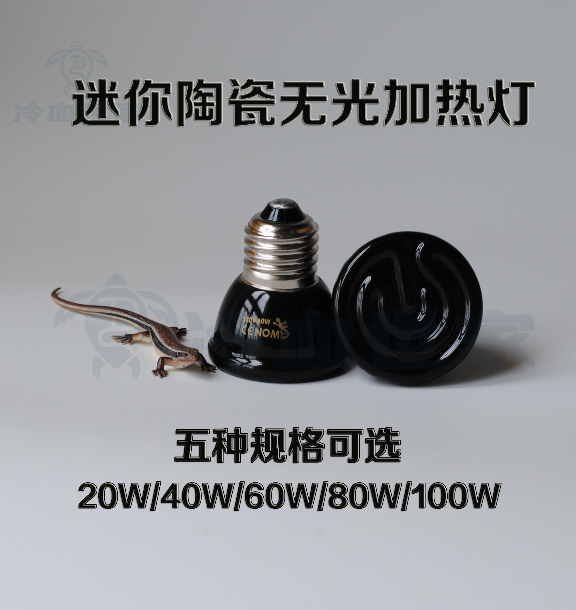 Climbing Creep Tortoise Lizard Power Snake Changaroon Scorpion Hedgehog Parrot Lighting Lighting