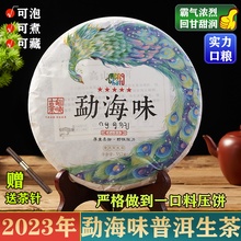 2023年勐海普洱生茶饼茶357g云南古树普洱生茶七子饼回甘醇厚耐泡