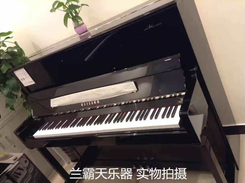 Zhujiang Weiteng Dòng thời gian WKP123 Kiểm tra dọc Nhà chuyên nghiệp Chơi Piano - dương cầm yamaha u3
