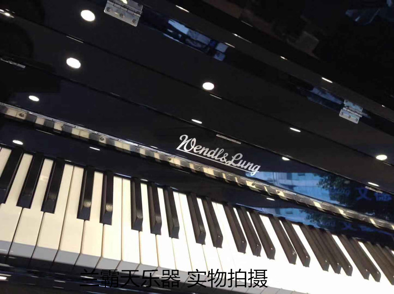 Helen piano Áo. Wendelong W126 ánh sáng đen chuyên nghiệp chơi đàn piano gia đình dọc - dương cầm casio px 870