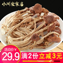 Ogawa farm shop new farm tea tree mushroom dry goods have been cut Ghent price can not open umbrella