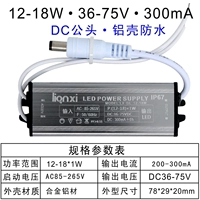 12-18W-300MA-DC мужская голова