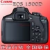 Canon EOS 1500D 1300D 18-55 Máy ảnh DSLR của Ngân hàng Quốc gia chụp ảnh du lịch HD - SLR kỹ thuật số chuyên nghiệp SLR kỹ thuật số chuyên nghiệp