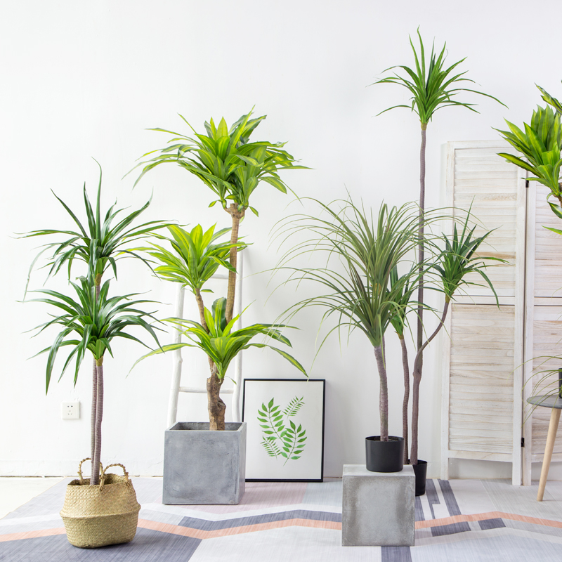 Nordic Large Emulation Pineapples Tree Basil Wood Dragon Blood Tree Hotels Mall-like board room and other shop windows Green planting pendulum pieces-Taobao