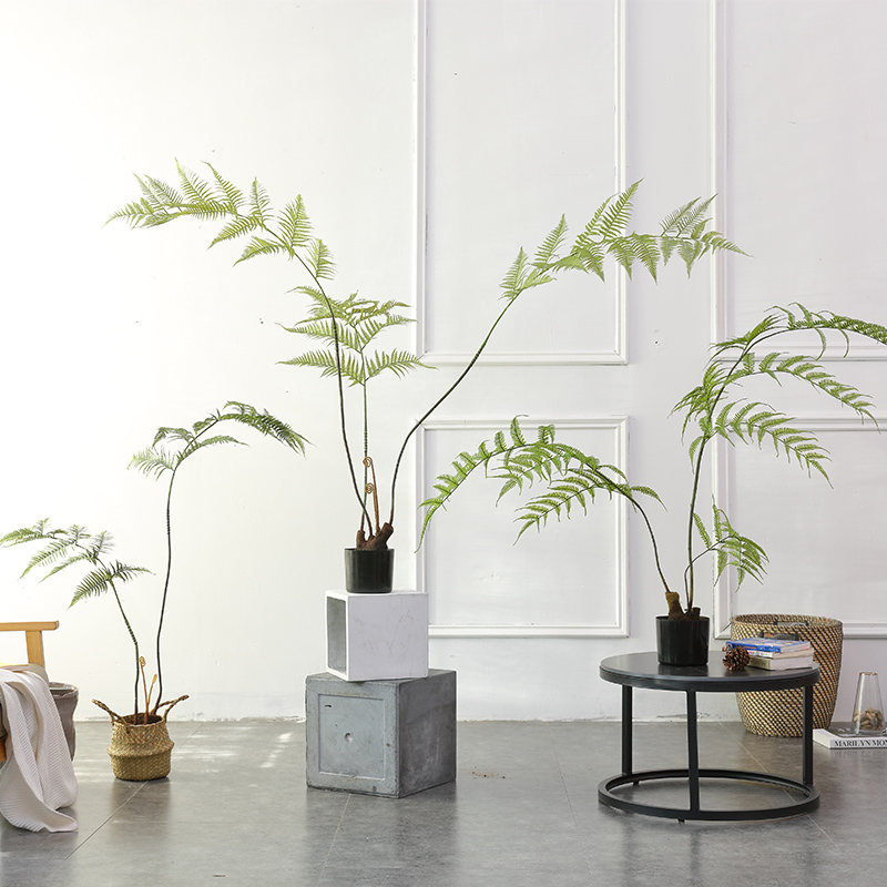 ins emulation plant gold silk monkey fern yellow hair fern livingroom indoor and outdoor green plant swaying pieces hotel floral landscape building scenery-Taobao