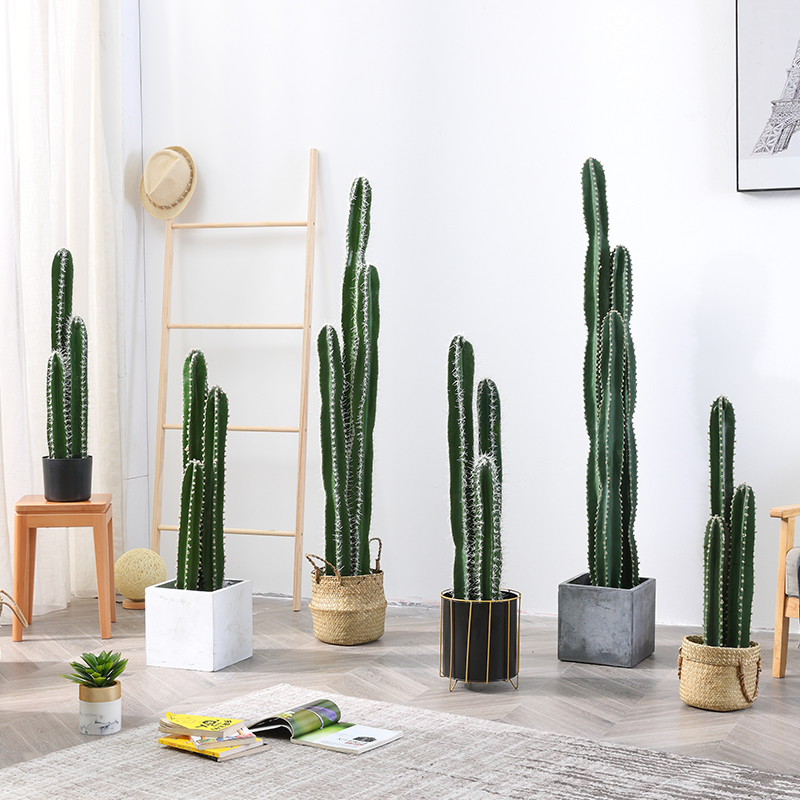 Nordic plant Large emulated cactus Three-headed fairy column ground green plant shop window Showcase Basin off Prop Decoration-Taobao