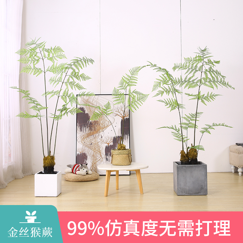 Simulation Monkey Head Fern Plant Gold Silk Monkey Grass Fake Tree Indoor Natural Zen Green Plant Potted Gold Hairy Dog Fern-Taobao