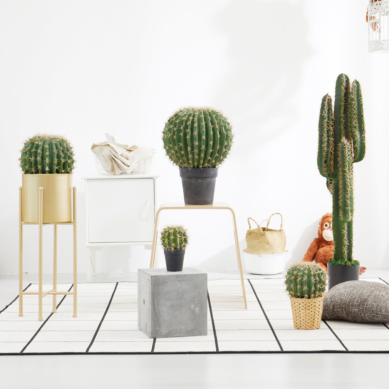 Emulation Ball Nordic Home Green Plant Decoration Fairy post Balcony Cactus Landscape Arrangement Multimeat Fake plants