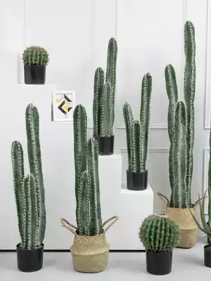 Nordic plant large simulation Cactus Three-head simulation cactus column floor green plant ornaments window basin picking props
