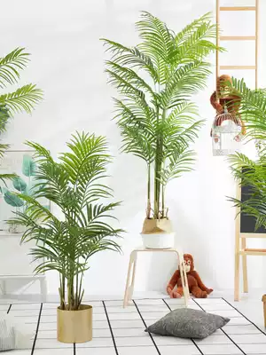 Large indoor simulation scattered tail sunflower living room basin picking fake green plant phoenix tail sunflower Simulation chaise sunflower window decoration plant