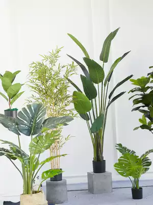 Large simulation green plant banana traveler banana paradise bird turtle back bamboo leaf Qin leaf Banyan Tree simulation green plant pot