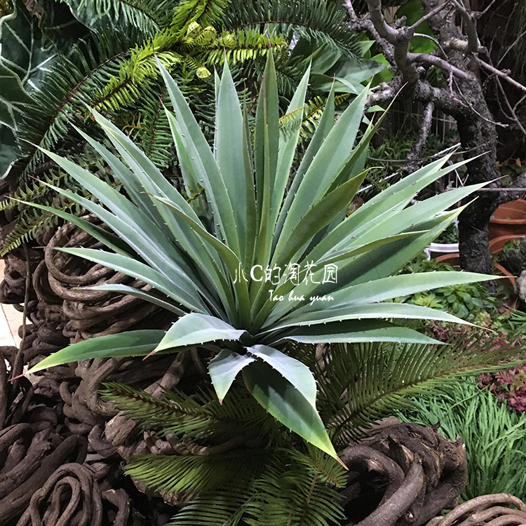 High-grade ultra-realistic aloe vera home aloe vera green plant simulation large sisal office green plant ornaments