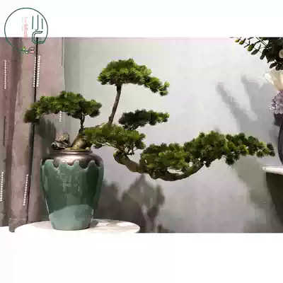 High-end simulation new Chinese style welcome pine Arhat pine and cypress tree bonsai soft decoration model room Sample house display center High-end ornaments
