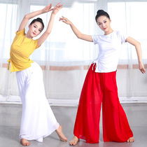 2020 new short sleeve modal chiffon pants bloomers home practice grade examination dance costume modern dance costume