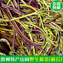 Guizhou specialty Fern moss hillside slope picking wild fresh snacks Bracken bagged sauerkraut nationwide