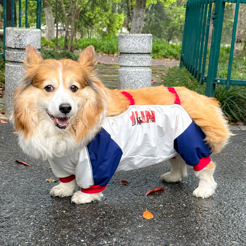 Corgi Waterproof Raincoat Dog Belly Cover Anti-Dirt Four-Legged Pet Dog Teddy Bichon Medium-Sized Dog Rainproof Dustproof Pants