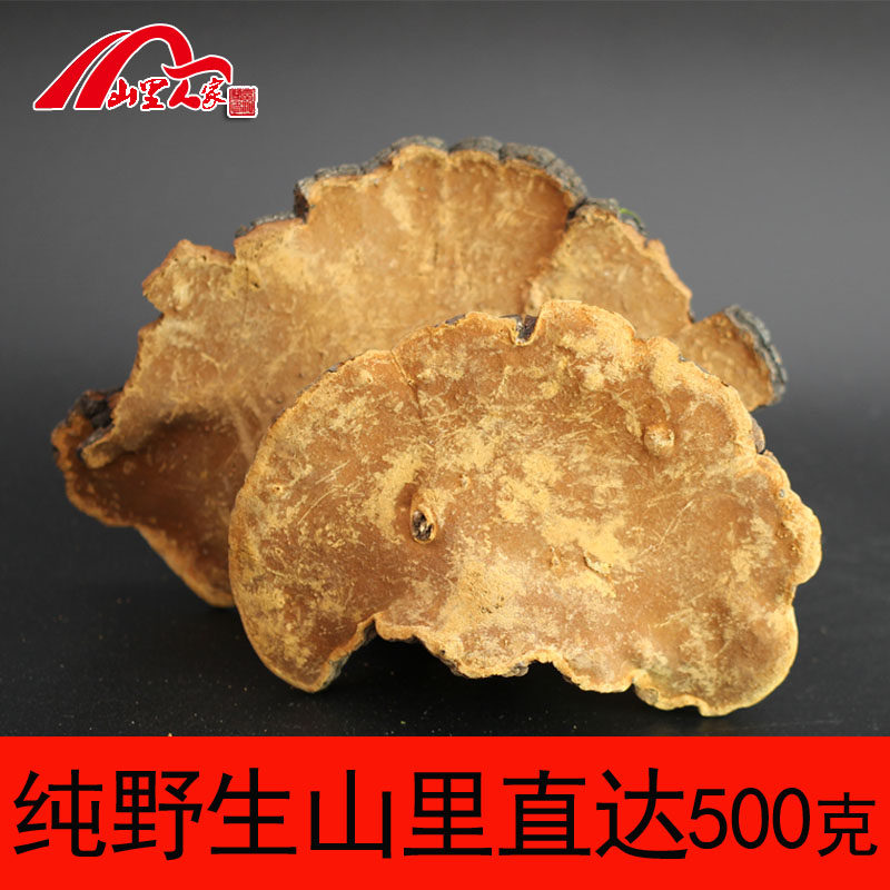 Shanli people's home 500 gr wild Sanhuang Lingzhi Linzhi thermal wood layer Concorrhizal Mountain Lane Direct to the whole branch Lingzhi Sanhuang