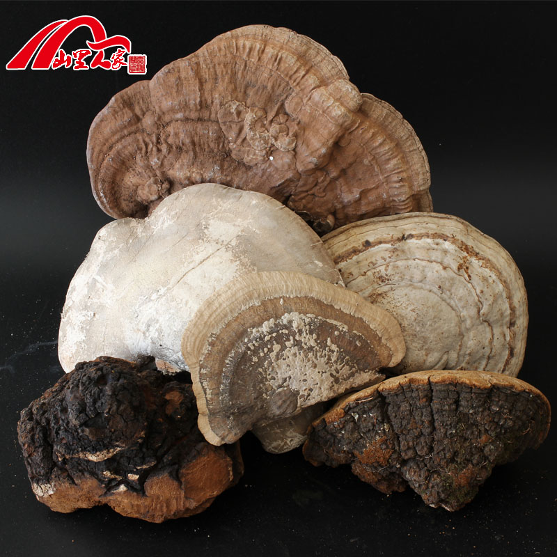 7 catty Long white Mountain wild flat cover Lucid Lucid white Lucid Lucid lucid lucid lucid lucid lucid lucid Lingzhi Lucid Lucid and Lucid Lucid and Lucid Lucid and Lucid Lucid