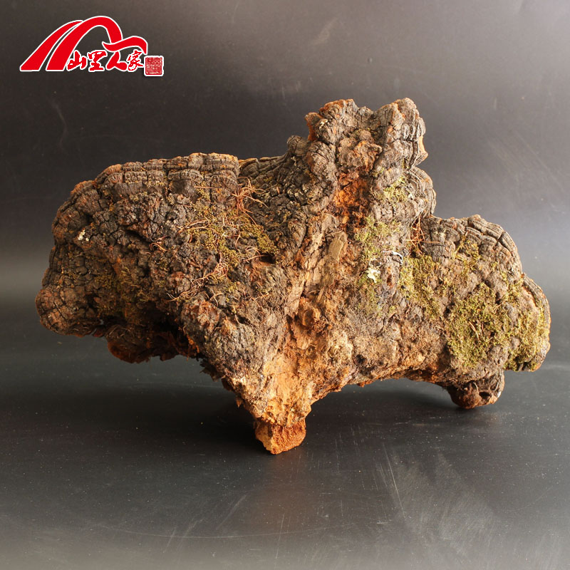 Mountain People's Home Buy 2 Gifts 1 Long White Mountain Wild Pine Wood Layer Pore Fungus Lingzhi Pine Needle Samhuang Pine Needle Layer Pore Fungus 500g