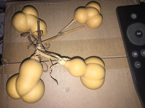 Бесплатная доставка высокой качественной