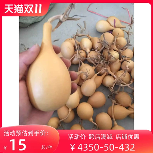 Естественная странная инопланетная граната зимняя дыня яблочная тыква ручной работы ручной работы