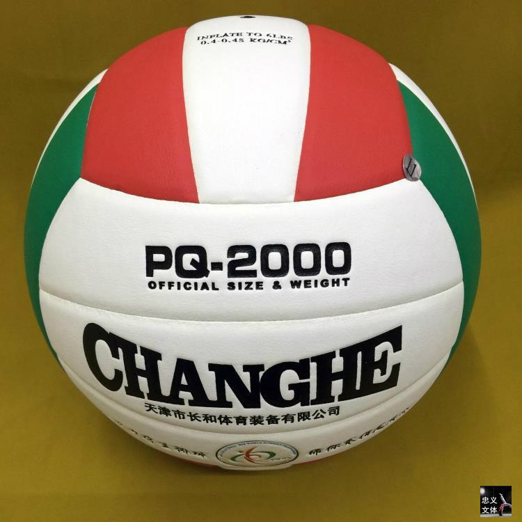 Ballon de volley - Ref 2011016 Image 15