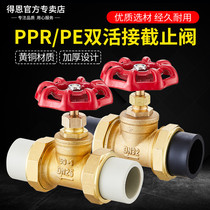 PPR copper globe valve double live hot melt 2025 copper ball gate valve 4 6 points PE water pipe valve switch accessories