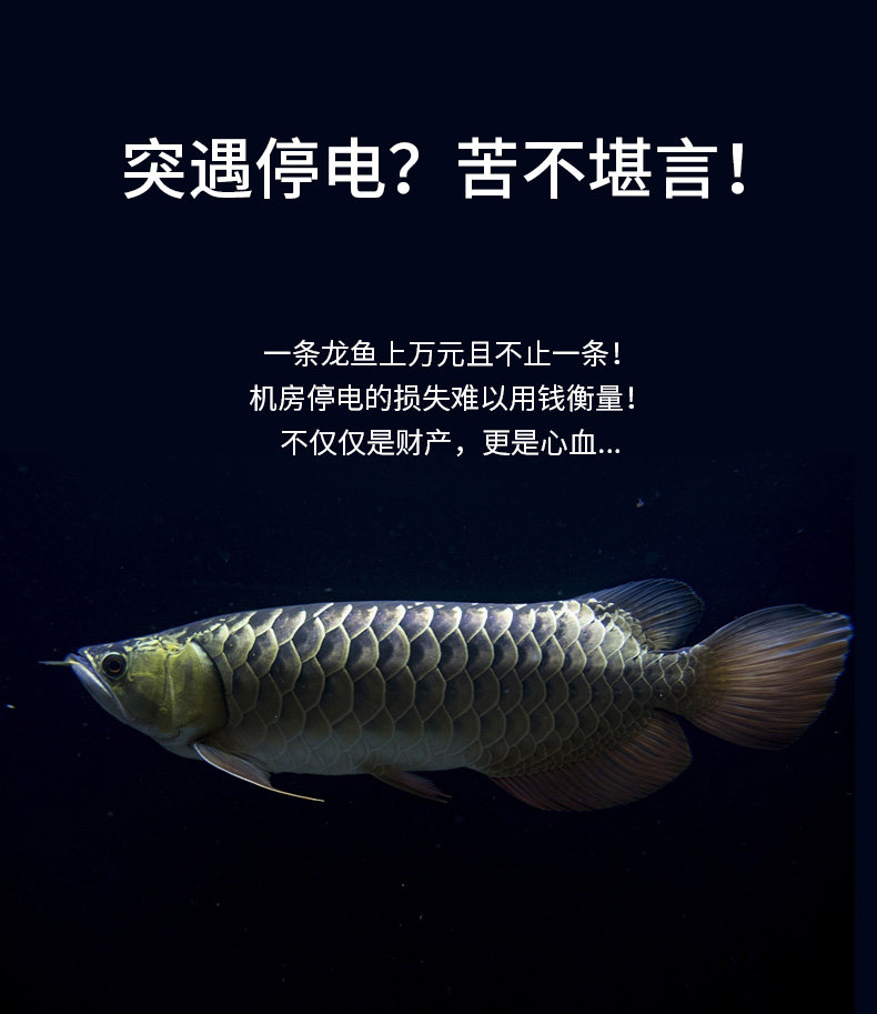 Подробности page_01.jpg