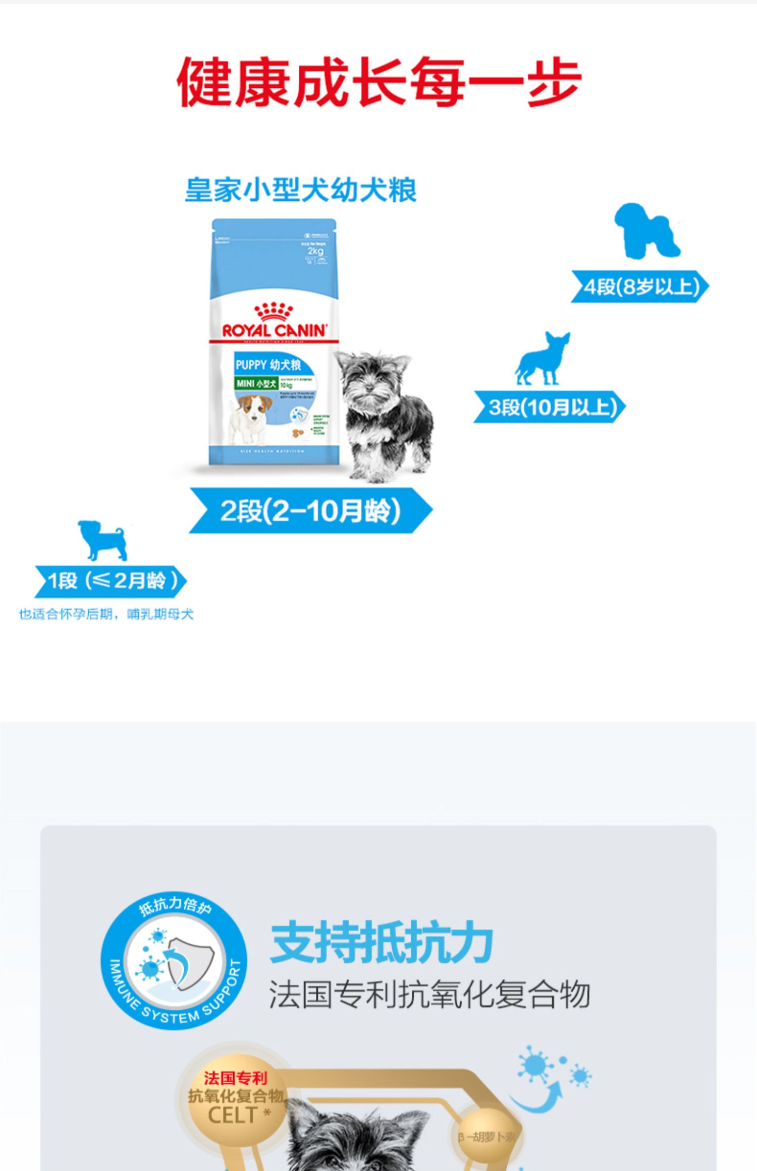 Thức ăn cho chó hoàng gia chính thức được ủy quyền mij31 chó con thức ăn cho chó nhỏ 2kg Teddy hơn gấu Keji - Chó Staples thức ăn hạt mềm zenith cho chó