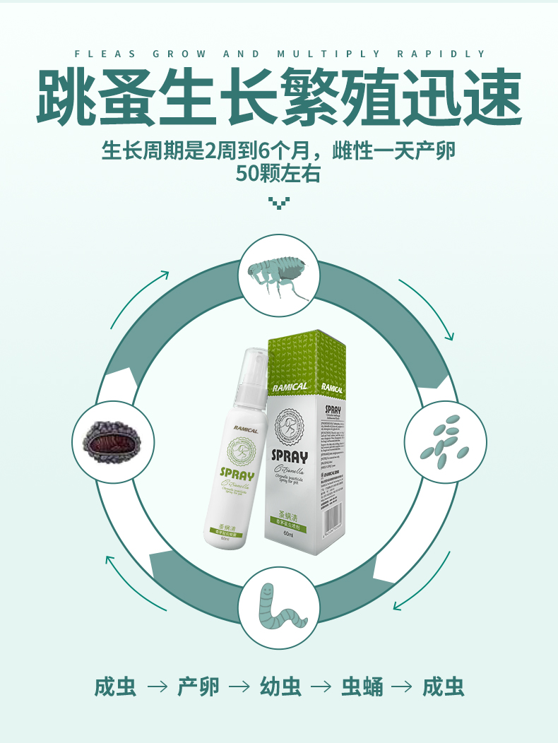 Thuốc tẩy giun sán cho chó và mèo cao - Cat / Dog Medical Supplies 	các loại kim tiêm trong thú y	