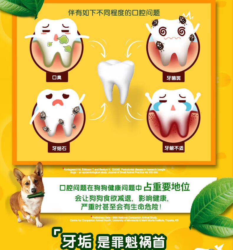 Chó mole dính kho báu chính thức sạch răng dính 15 con chó ăn nhẹ vật nuôi taidi lông vàng trưởng thành chó cắn răng sạch xương - Đồ ăn vặt cho chó Bánh cho chó