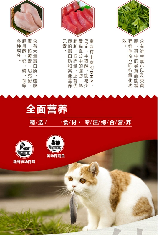 Jin Duo Leina Bao Jin nếm cốc mèo ướt thức ăn dày súp mèo đóng hộp snack mèo ăn nhẹ vào thức ăn cho mèo 80g * 6 - Đồ ăn nhẹ cho mèo hạt whiskas cho mèo con