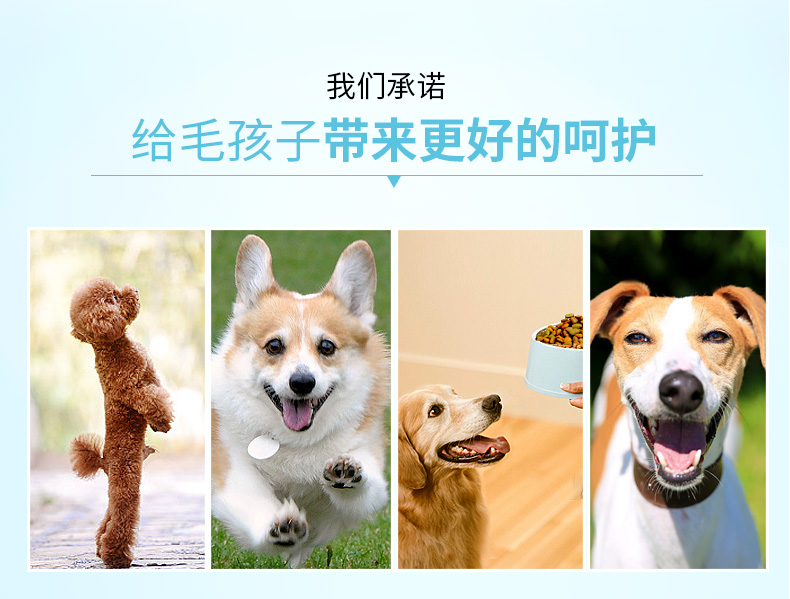 Thức ăn cho chó Mai Fudi chó con 2,5kg vừa và nhỏ taidijinmao labrador 10 thức ăn cho chó nói chung 5 kg - Chó Staples thức ăn bổ máu cho chó