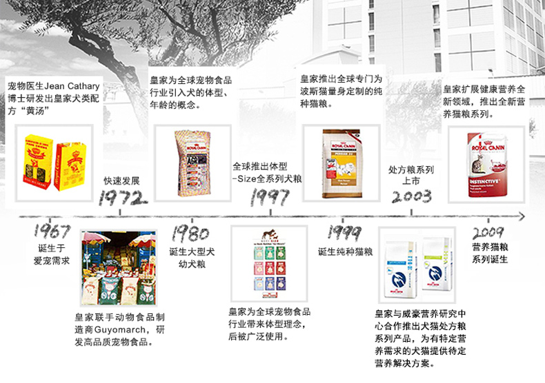 Thức ăn cho mèo trong nhà Royal I27 1.6kg chọn miệng cộng với 2 con mèo ngắn Philippines để lông bóng mèo thức ăn chủ yếu 400g * 4 gói - Cat Staples whiskas cho mèo con