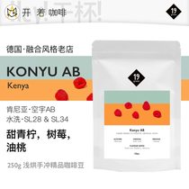 Spot German 19grams Kongyu AB Kenya Wash SL28SL34 Shallow Filled Hand Chong Fine Coffee Bean