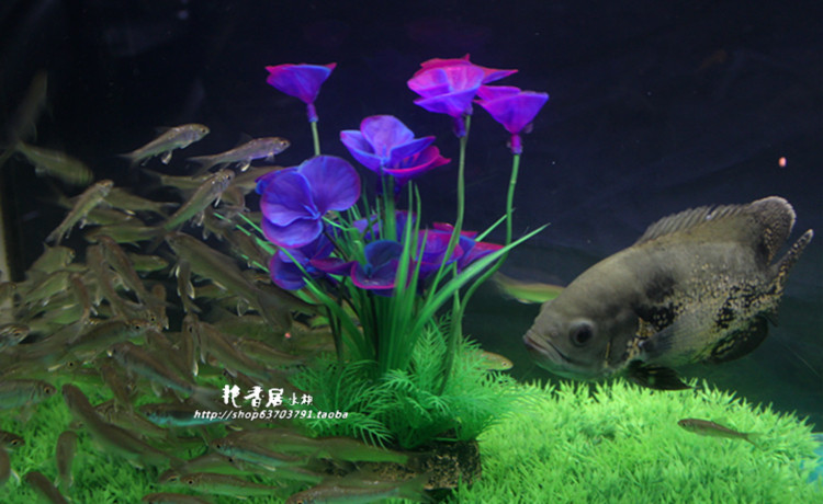 桃子的店 魚缸裝飾仿水草水族造景假水草裝飾塑料紫蝶蘭 規格不同價錢不同t Yahoo奇摩拍賣