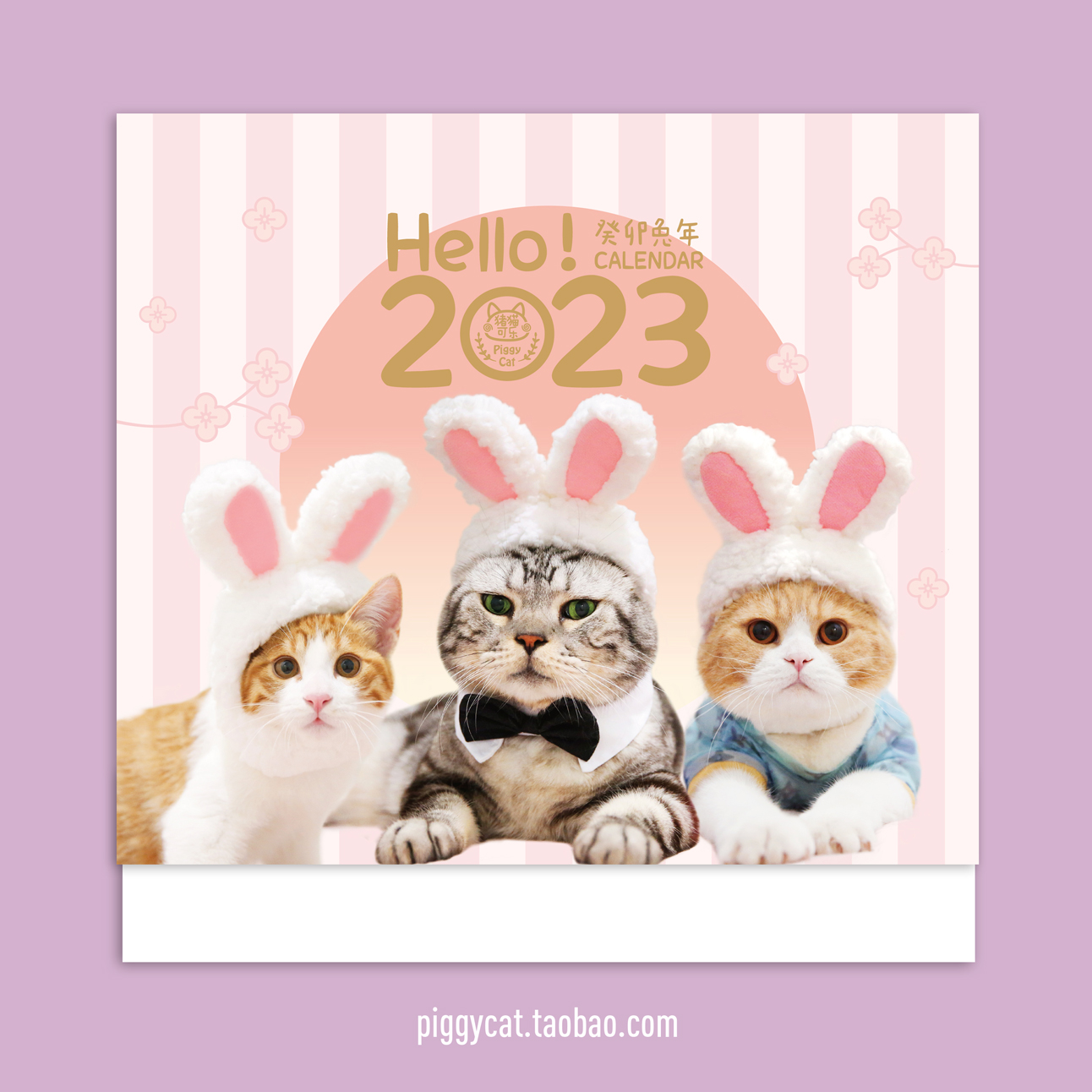 PiggyCat Pig Cat Cola original 2023 calendar calendar big cat record