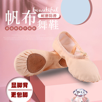 Ballet training shoes black dance shoes soft bottom dancing children female gymnastics adult belly dance folk cat claw shoes