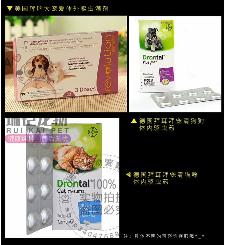 Chuông đầy màu sắc đồ chơi bóng cao su thú cưng chó mèo Teddy Golden Retriever giọng hát mol mol đồ chơi để bán do choi thu cung