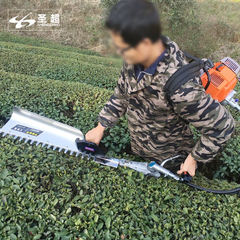 Green hedge machine gasoline tea tree trimmer electric tea cutter pruning shears tea machine cutting import configuration