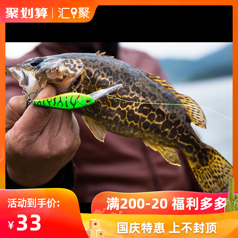 DNE goes to Luya bait scavenger diving mino sea bass fake bait freshwater pumping stop slow sinking suspension