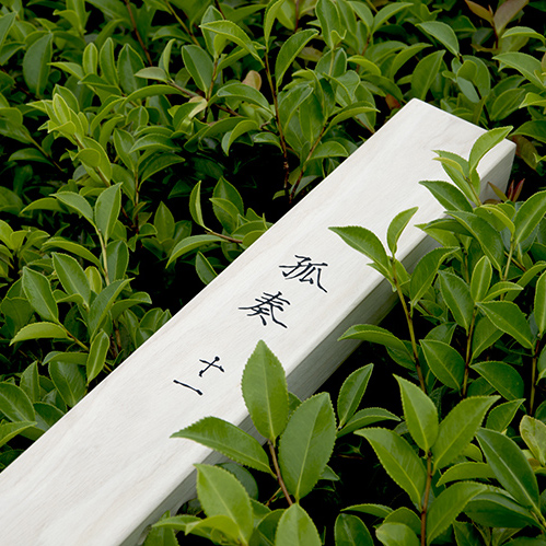 Authorizes 17 years of new waterfront orphan and pole pole fishing gear and follow the enlightenment of the Mei